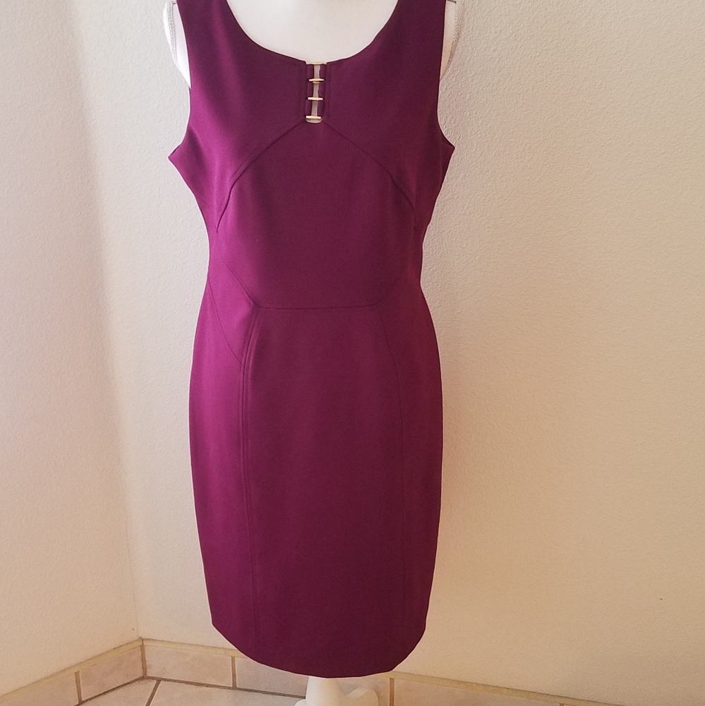 Ivanka Trump Plum Dress